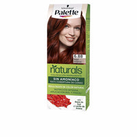 Palette PALETTE NATURAL tinte #6.88-rojo intenso 1 u