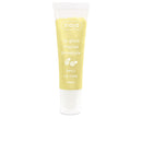 Ziaja LIP BALM with shimmer Tropical Pineapple 12 ml