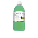 Dentiblanc DENTIBLANC Alcohol-free mouthwash #Mint 500 ml